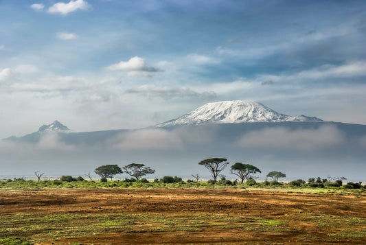 Kiliman-jar-of-dough - Tanzania